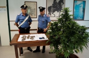 La droga e la pianta di Canapa Indiana sequestrata dai Carabinieri