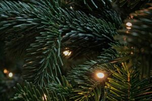 Nuova tendenza per le luci dell'albero di Natale