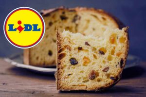 Panettone LIDL